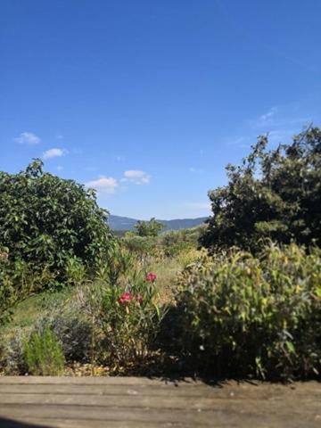 Villa Spacieuse Avec Terrasse Et Vue Mont Ventoux Entrechaux Dış mekan fotoğraf