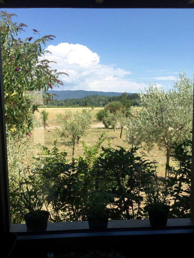 Villa Spacieuse Avec Terrasse Et Vue Mont Ventoux Entrechaux Dış mekan fotoğraf