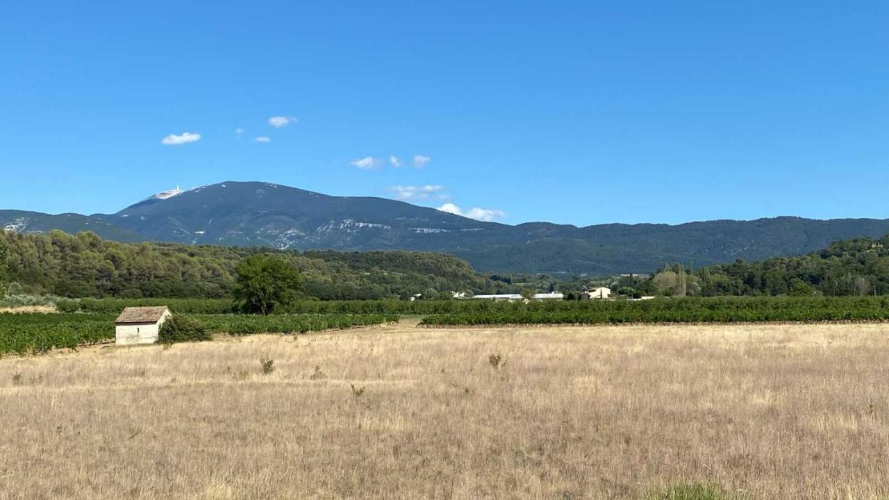 Villa Spacieuse Avec Terrasse Et Vue Mont Ventoux Entrechaux Dış mekan fotoğraf
